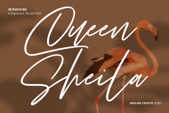 Queen Sheila: A Handwritten Font That Feels Like a Quiet Conversation